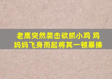 老鹰突然袭击欲抓小鸡 鸡妈妈飞身而起将其一顿暴揍